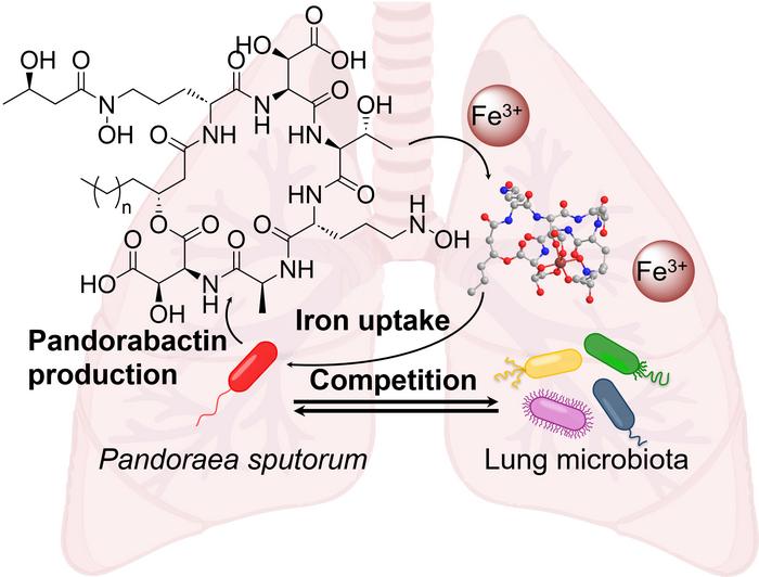 Competition for iron