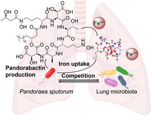 Competition for iron