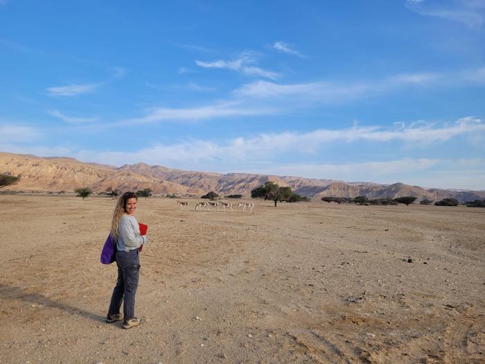 fieldwork