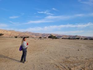 fieldwork