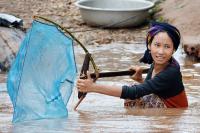 Mekong Fisher