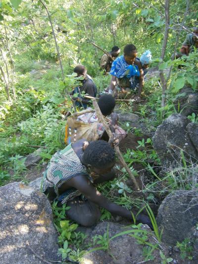 Hadza Foods