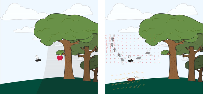 visual processing strategies