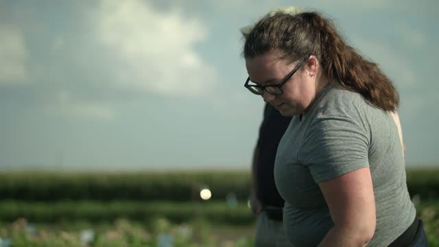 The Transgenic Key to More Productive Crops (6 of 7)