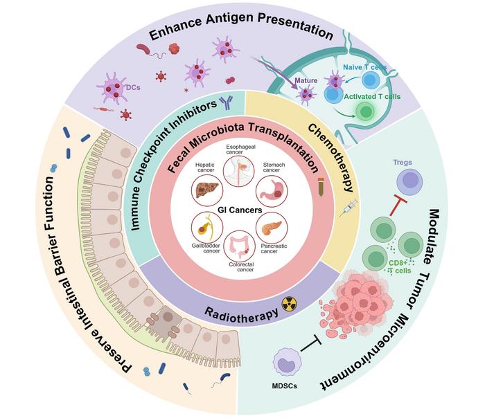 Potential mechanisms underlying fecal microbiota transplantation as a therapeutic adjuvant to antitumor therapy
