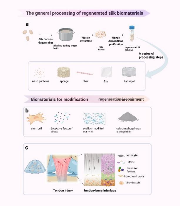Silk-based materials for tendon and tendon-bone interface regeneration