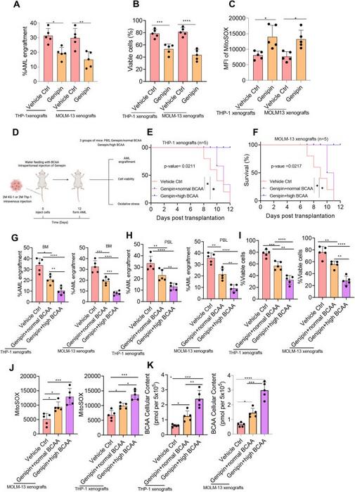 Supplementation of BCAA enhanced the anti-tumor activity of genipin.