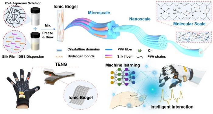 Design of Ultra-robust and Multifunctional Ionic Biogels for Self-Powered Human-Machine Interaction