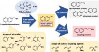 Direct Radical C-C Bond Formation Reactions