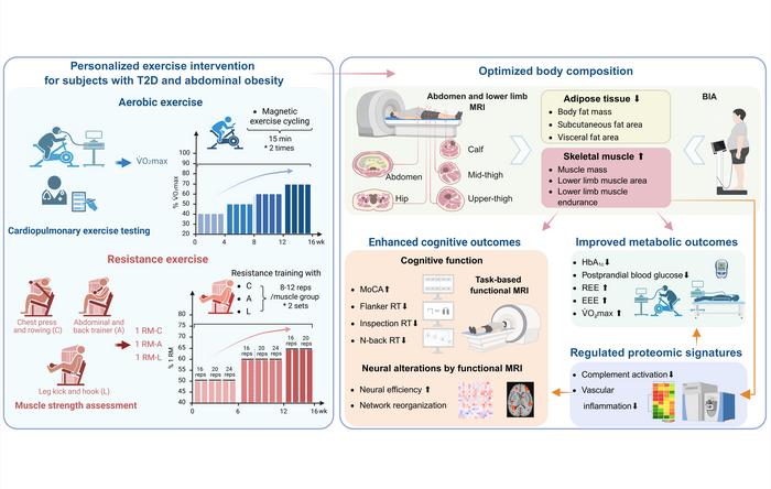 Beyond weight loss: personalized exercise improves body, metabolism and brain health in type 2 diabetes