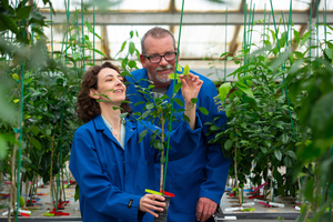 CCPP scientists