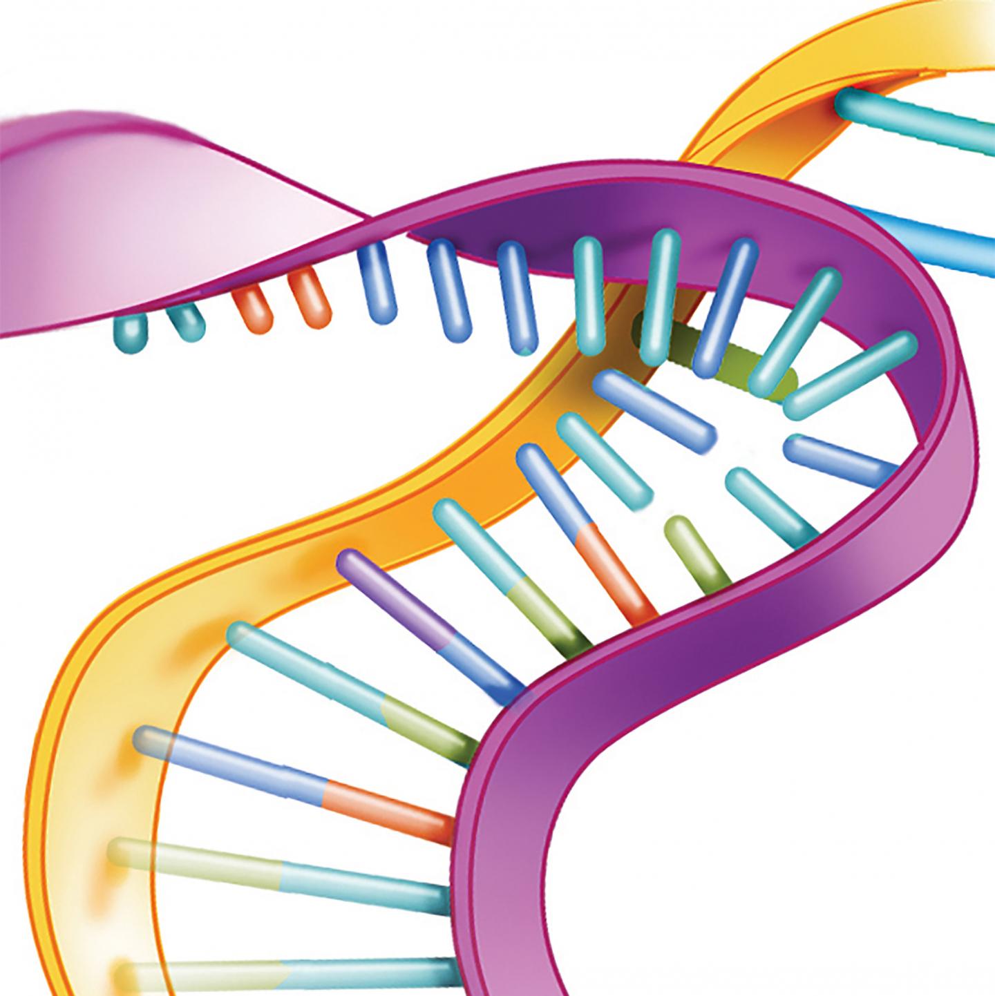 Silencing an ALS Gene