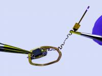 Capturing Neuron Activity