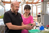 Joseph Ecker and Hong Qiao, Salk Institute  