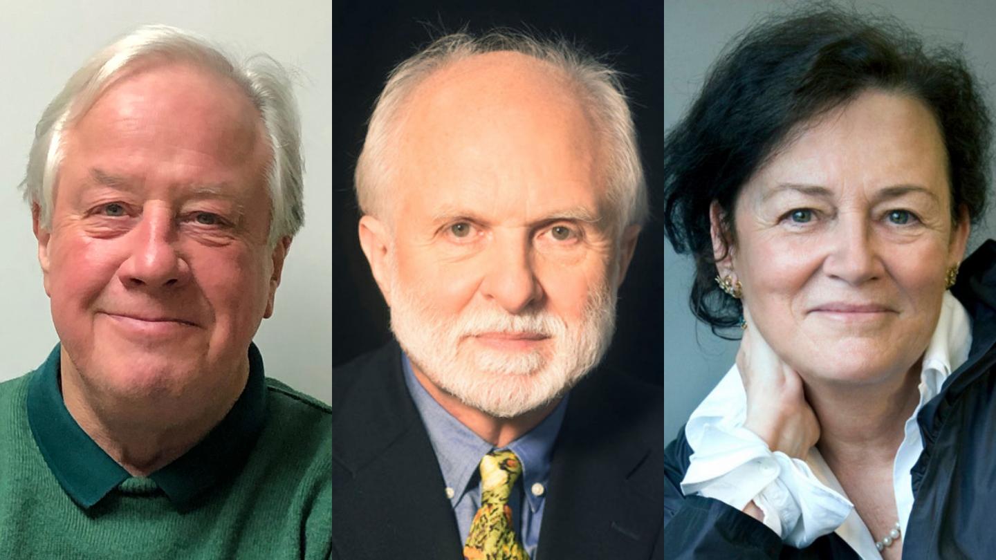 Robert Fettiplace, A. James Hudspeth, and Christine Petit