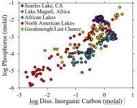 Phosphorous Levels