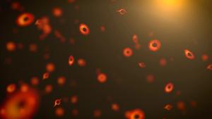 Primordial black holes