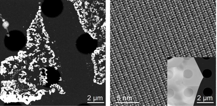Atomic-resolution imaging of fragile hybrid perovskite