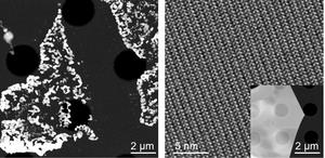 Atomic-resolution imaging of fragile hybrid perovskite