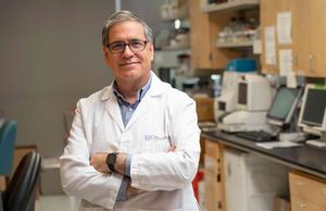 Adolfo Garcia-Ocaña, Ph.D., leads research at City of Hope focused on pancreatic cell biology and type 2 diabetes