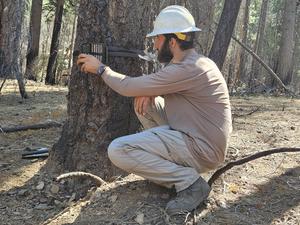 Adam Wood sets up a wildlife camera in the Eldorado National Forest.