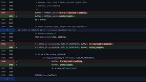 Vulnerabilities in C code