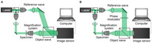 Fig. 3. Two forms of digital holography microscopy. The off-axis mode (A) eschews the use of a phase modulator for the reference wave to capture one hologram image, while the in-line mode (B) uses the phase modulator to capture multiple hologram images. R