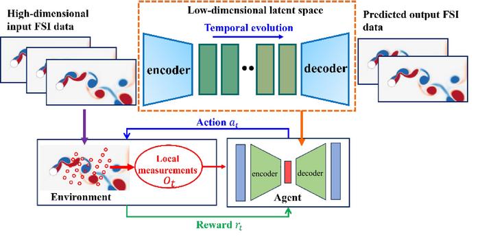 Machine learning framework for reduced-order modeling and control in fluid–structure interaction.