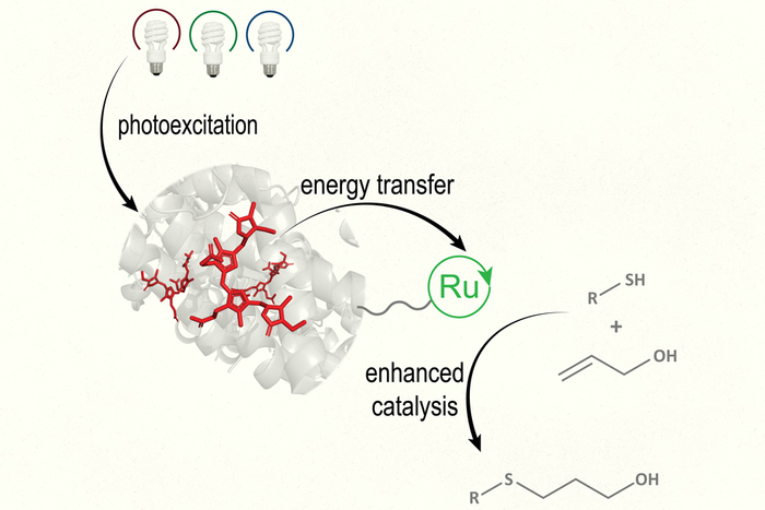 Photocatalyst schematic