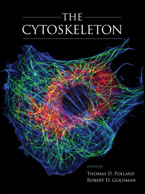 The Cytoskeleton