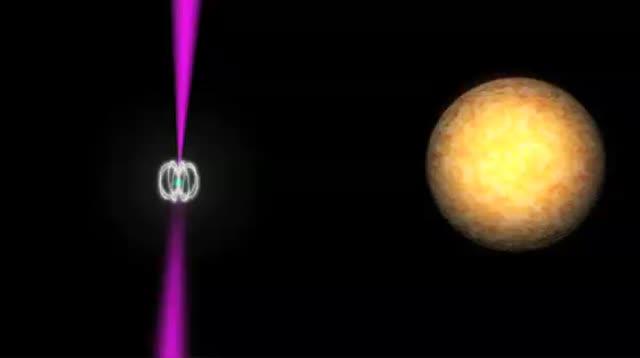 Pulsar and Companion Star