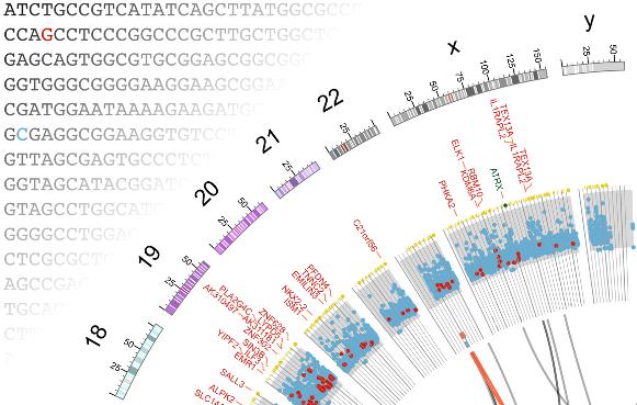 Bioinformatics