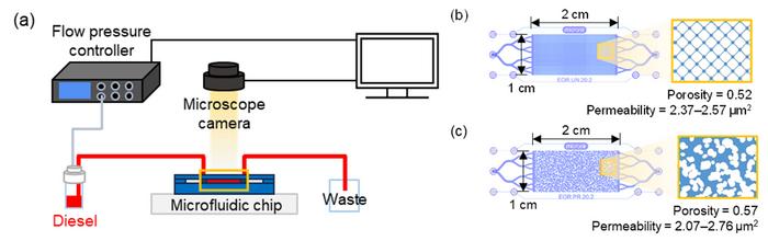 [Figure 1] Schematic of microfluidic experiment (a) and uniform and random rock type chips used (b,c)