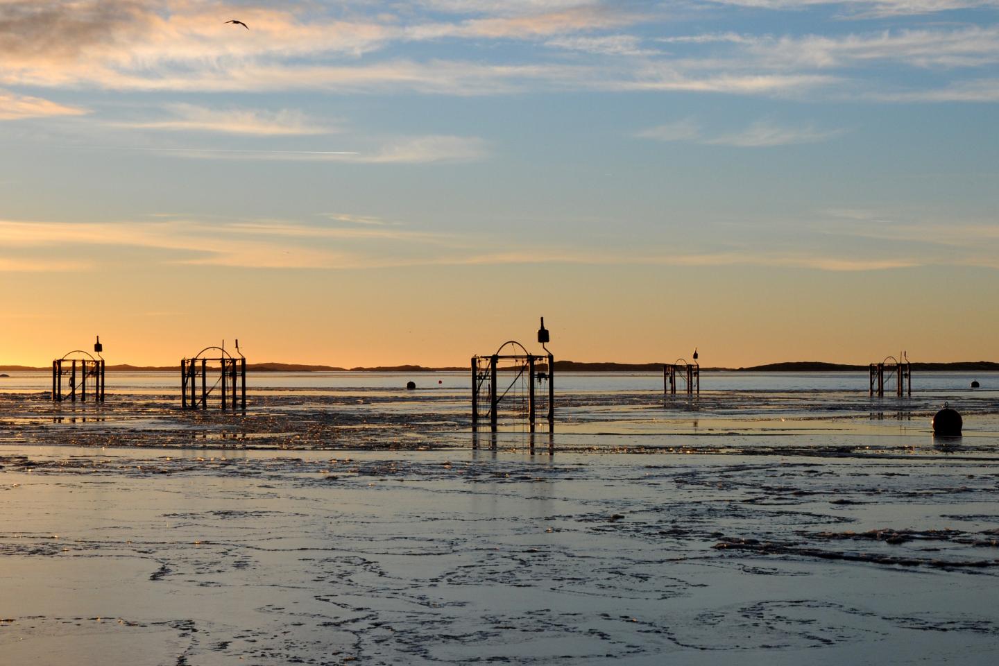 Is the Ocean More Resilient to Acidification Than We Thought? (2 of 7)