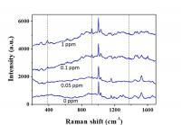 Raman Spectra