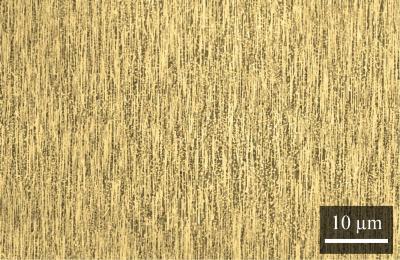 Nanowire Array