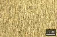 Nanowire Array