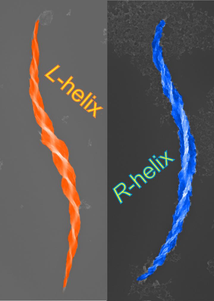 Assembly of mesoscale helices with near-unity enantiomeric excess and light-matter interactions for chiral semiconductors (1 of 2)