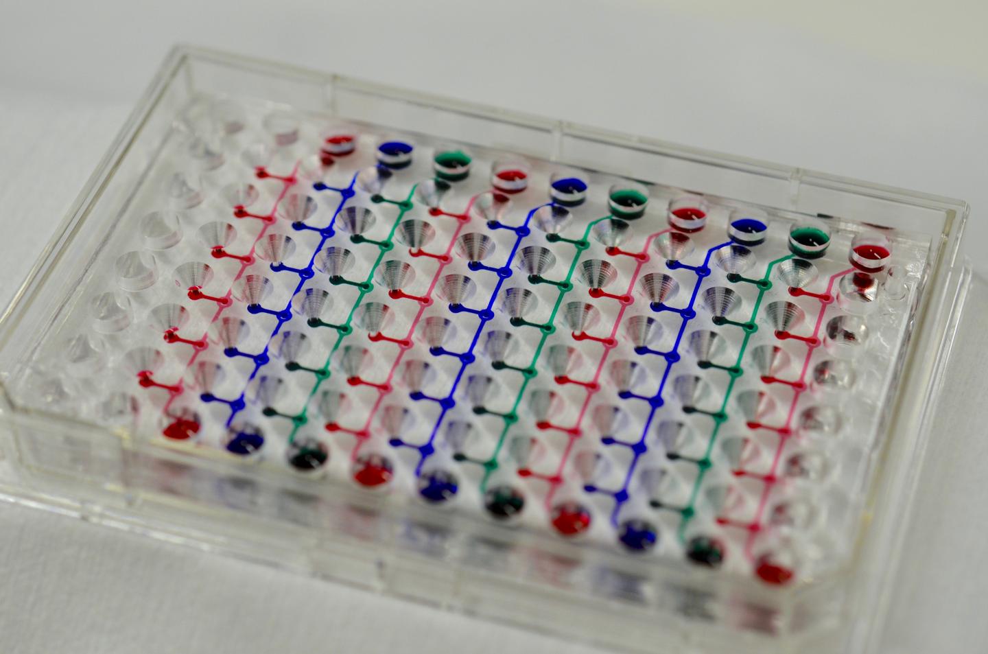 Microtissue Spheroid Culturing