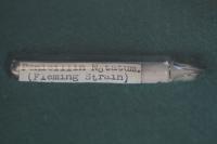 Sample Tube