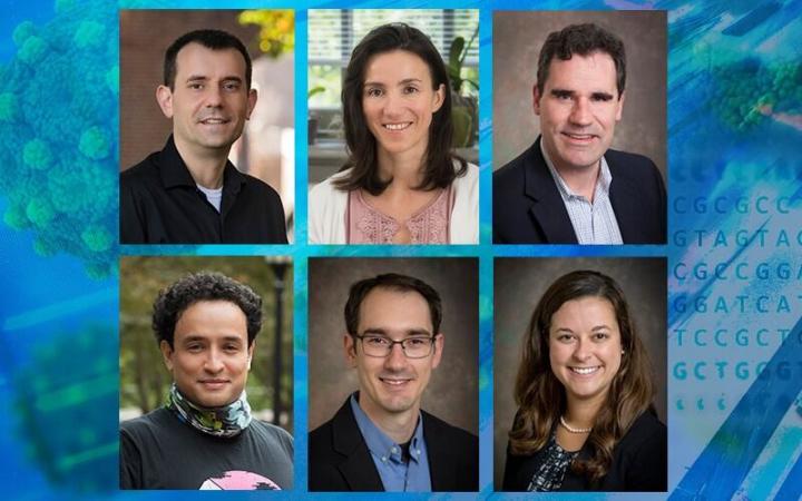 NIH Research Grant for UD's COBRE
