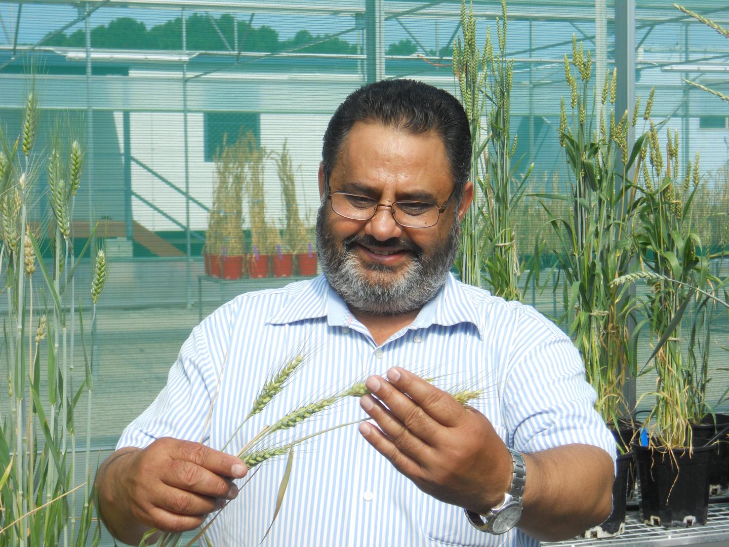 Harbans Bariana, University of Sydney