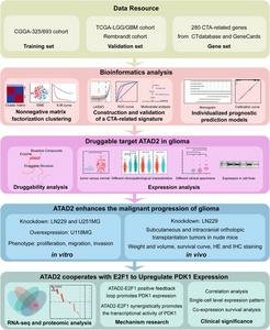 The flowchart of this study