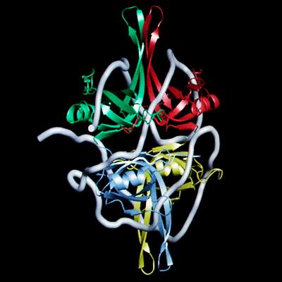 The Structure of SSB