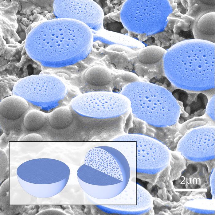 porous spheres and half-dome particles
