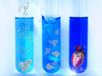 Heart Made in the Lab