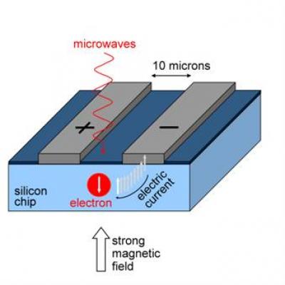 Quantum Spin