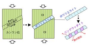 Fig. 2. Process of a shear transition of olivine to ringwoodite via poirierite.