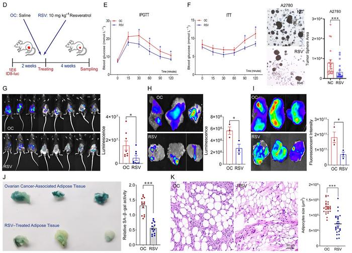 Targeting Senescent ADSCs in Adipose Tissue: Tongji University Team Paves New Way for Ovarian Cancer Therapy