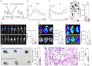 Targeting Senescent ADSCs in Adipose Tissue: Tongji University Team Paves New Way for Ovarian Cancer Therapy